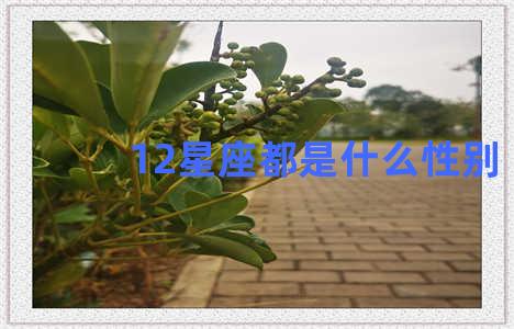 12星座都是什么性别