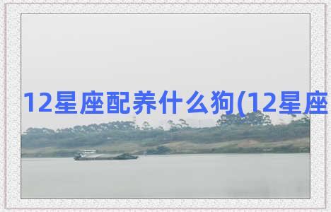 12星座配养什么狗(12星座配什么枪)