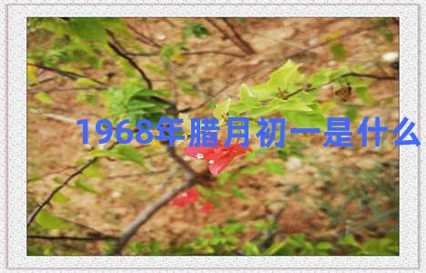 1968年腊月初一是什么星座