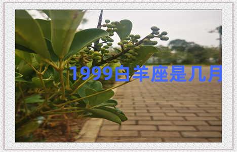 1999白羊座是几月