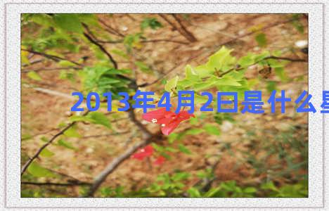 2013年4月2曰是什么星座