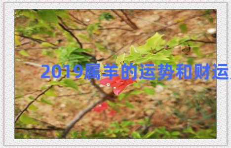 2019属羊的运势和财运如何