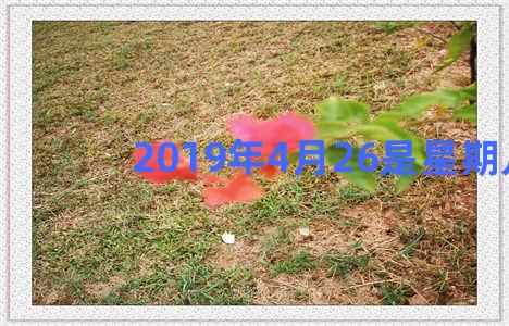 2019年4月26是星期几