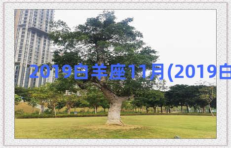 2019白羊座11月(2019白羊座运势)