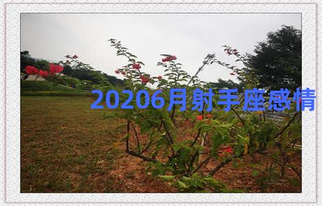 20206月射手座感情