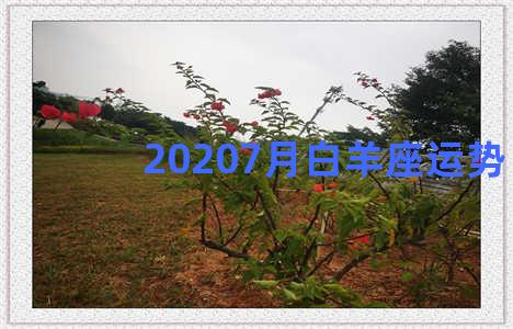 20207月白羊座运势