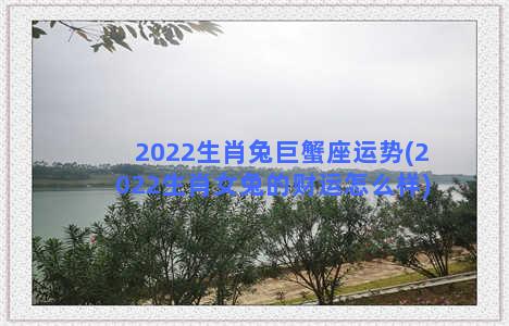 2022生肖兔巨蟹座运势(2022生肖女兔的财运怎么样)