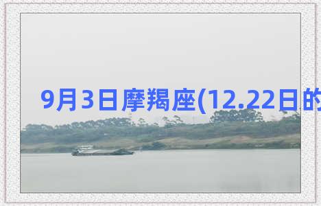 9月3日摩羯座(12.22日的摩羯座)