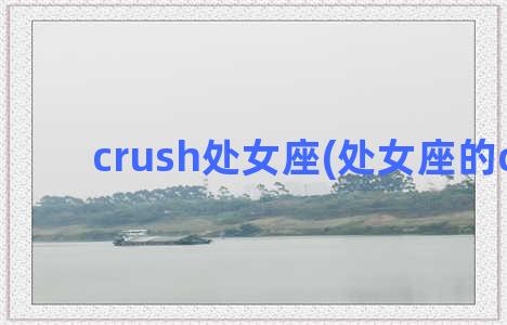 crush处女座(处女座的crush)