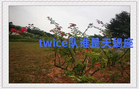 twice队谁是天蝎座