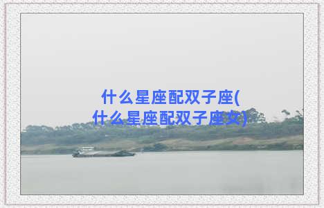 什么星座配双子座(什么星座配双子座女)