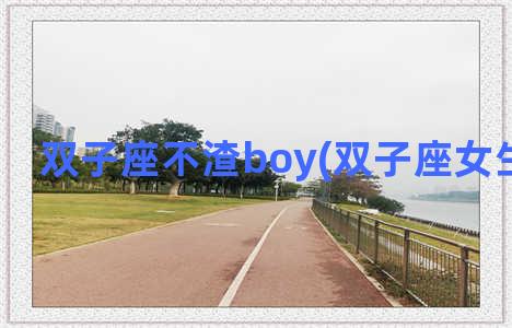 双子座不渣boy(双子座女生很渣吗)