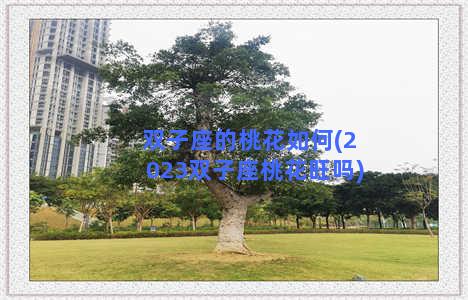 双子座的桃花如何(2023双子座桃花旺吗)