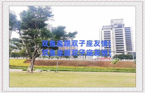 双鱼座跟双子座友情(双鱼座跟双子座友情)