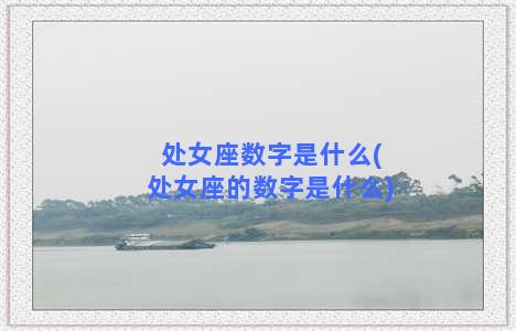 处女座数字是什么(处女座的数字是什么)