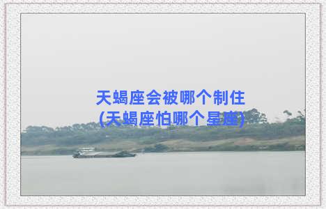 天蝎座会被哪个制住(天蝎座怕哪个星座)