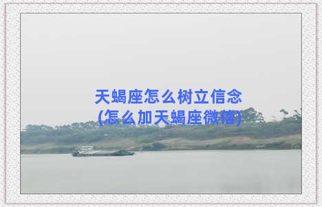 天蝎座怎么树立信念(怎么加天蝎座微信)