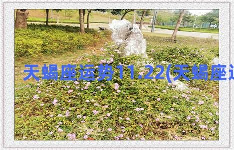 天蝎座运势11.22(天蝎座运势11.16)