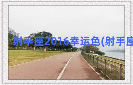 射手座2016幸运色(射手座幸远色)