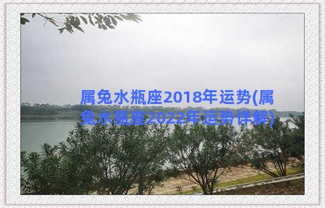 属兔水瓶座2018年运势(属兔水瓶座2022年运势详解)