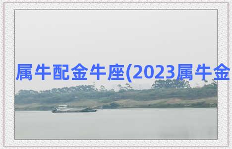 属牛配金牛座(2023属牛金牛座财运)