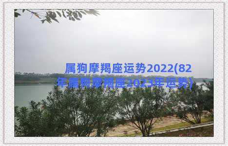 属狗摩羯座运势2022(82年属狗摩羯座2023年运势)