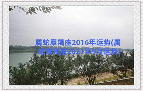 属蛇摩羯座2016年运势(属蛇摩羯座2021年9月运势)