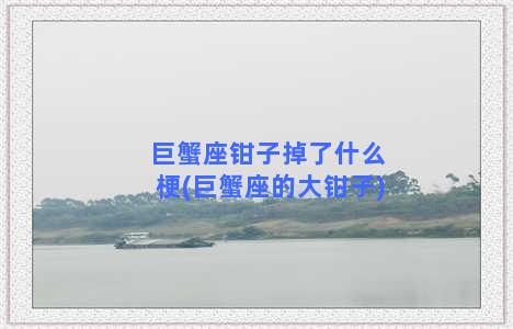 巨蟹座钳子掉了什么梗(巨蟹座的大钳子)