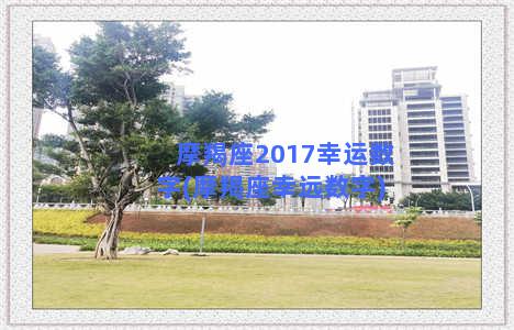 摩羯座2017幸运数字(摩羯座幸远数字)