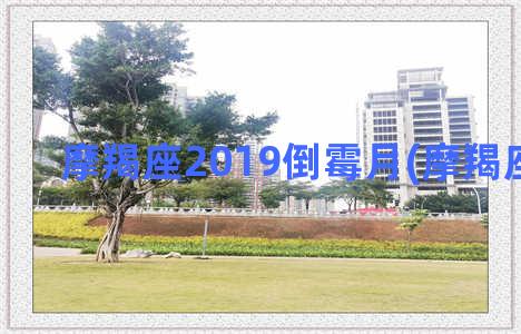 摩羯座2019倒霉月(摩羯座2019年)