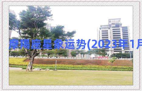 摩羯座星象运势(2023年1月星象运势)