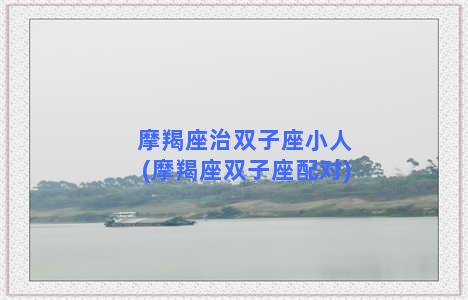 摩羯座治双子座小人(摩羯座双子座配对)