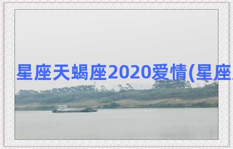 星座天蝎座2020爱情(星座屋天蝎座)