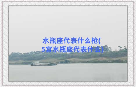 水瓶座代表什么枪(5宫水瓶座代表什么)