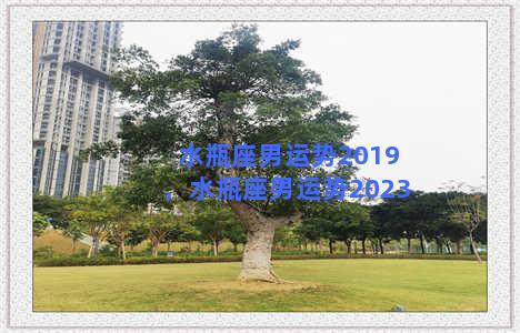 水瓶座男运势2019，水瓶座男运势2023