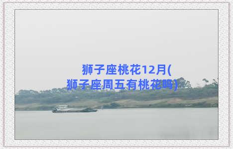 狮子座桃花12月(狮子座周五有桃花吗)