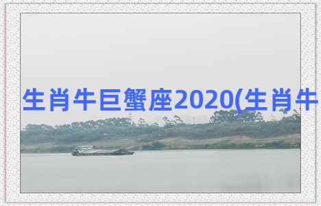 生肖牛巨蟹座2020(生肖牛巨蟹座女)