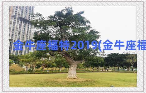 金牛座福特2019(金牛座福特2019款)